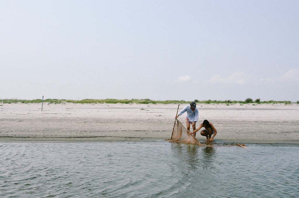 Stories: Fruits de la Mer