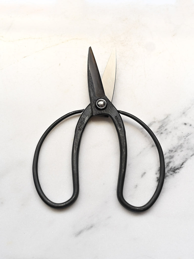 Okubo Kitchen & Garden Scissors